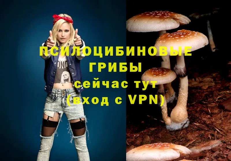 Псилоцибиновые грибы Psilocybe  нарко площадка формула  Зеленокумск 